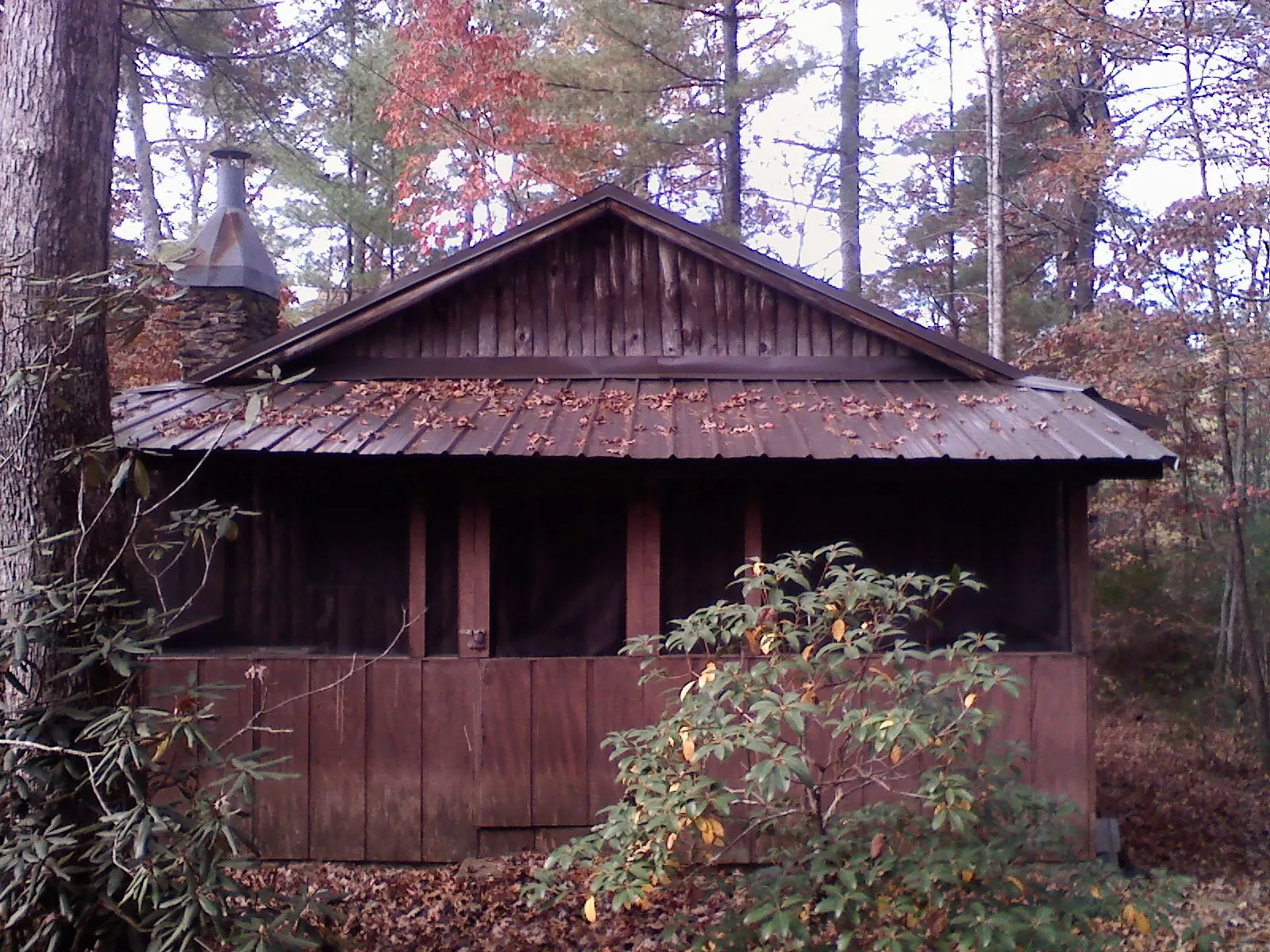 Metal roof over the screened porch of a rustic cabin in Toms River